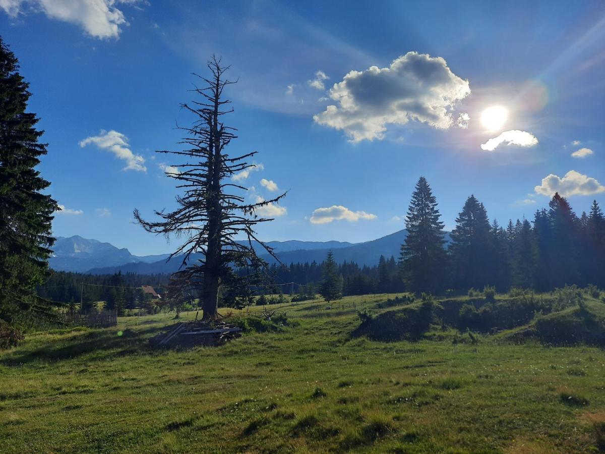 Etno House Momcilo Villa Zabljak  Bagian luar foto