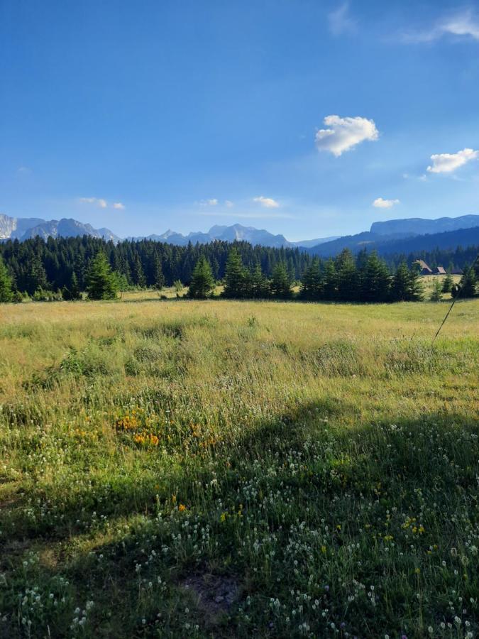Etno House Momcilo Villa Zabljak  Bagian luar foto