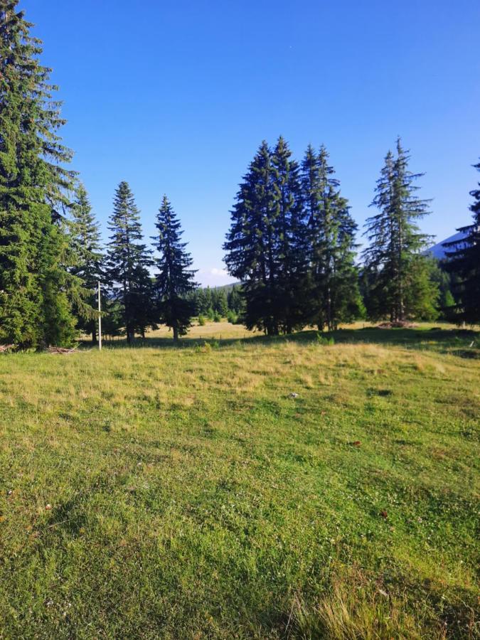 Etno House Momcilo Villa Zabljak  Bagian luar foto