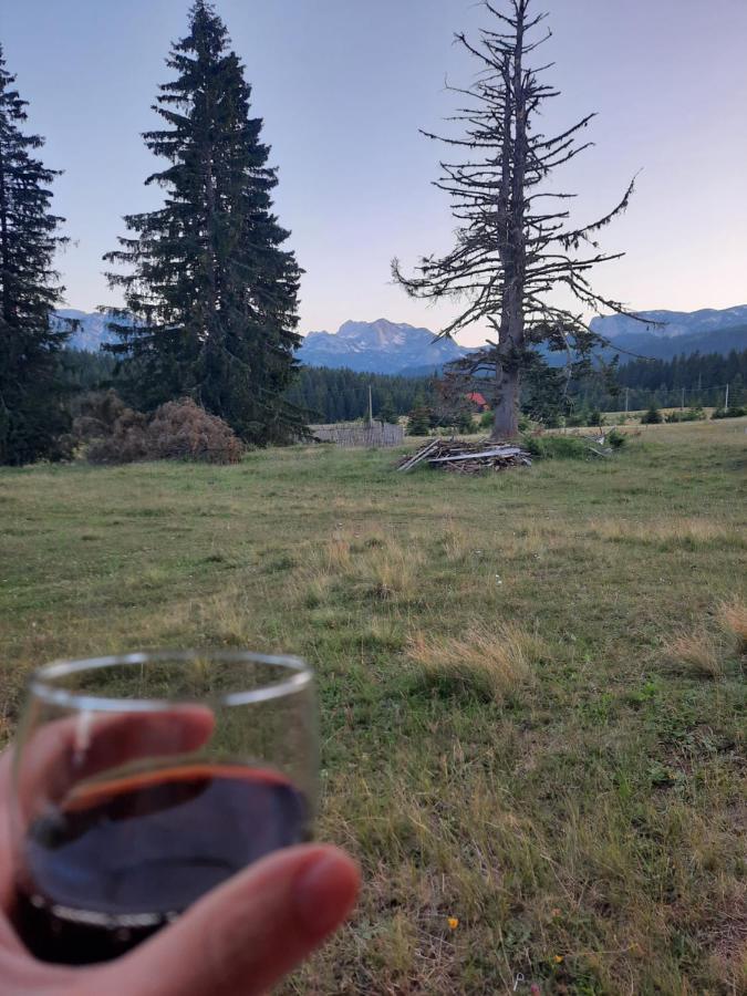 Etno House Momcilo Villa Zabljak  Bagian luar foto