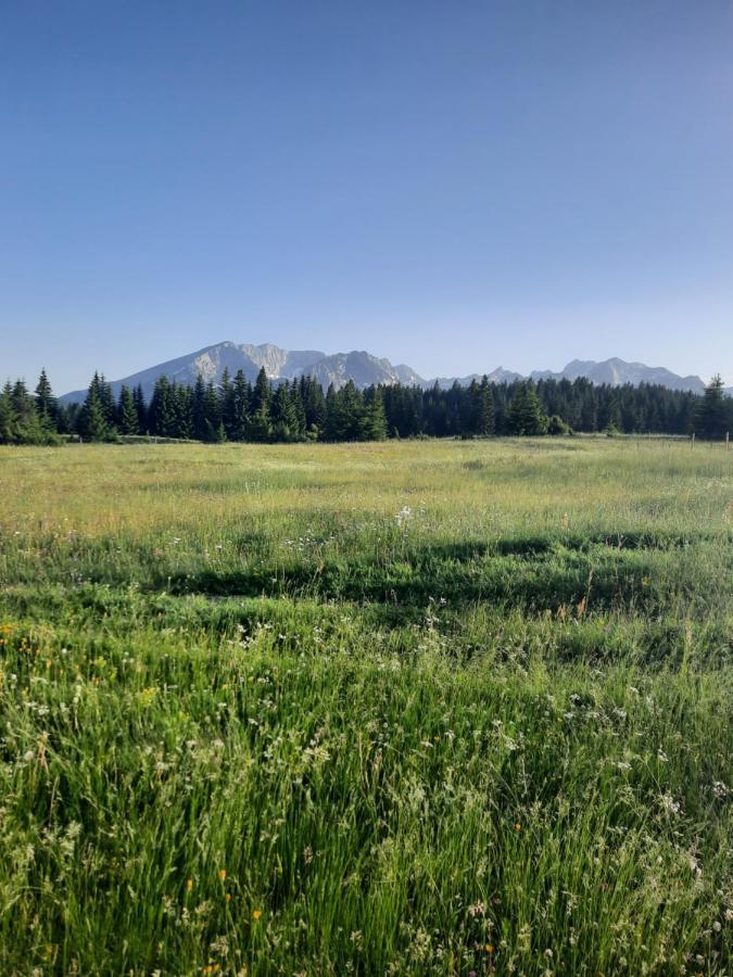 Etno House Momcilo Villa Zabljak  Bagian luar foto