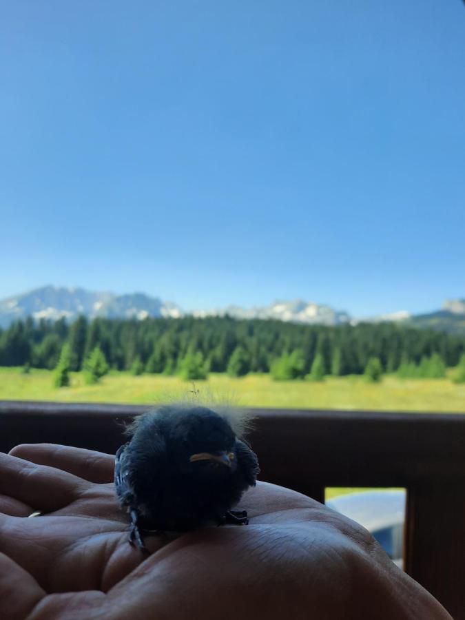 Etno House Momcilo Villa Zabljak  Bagian luar foto
